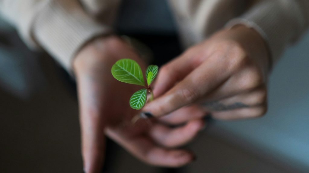 How Proper Accounting Benefits Your Mission